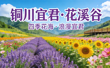 美味诱人！这10个巴山特色美食去岚皋一定要挨个吃！