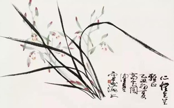 兰花